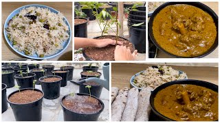 Cleaning My Garden After Rain | Planting, Cooking | Mutton Malai Handi with Mutter Pulao Recipe