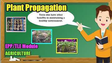 Propagating Trees and Fruit Bearing Trees EPP TLE Module Agriculture