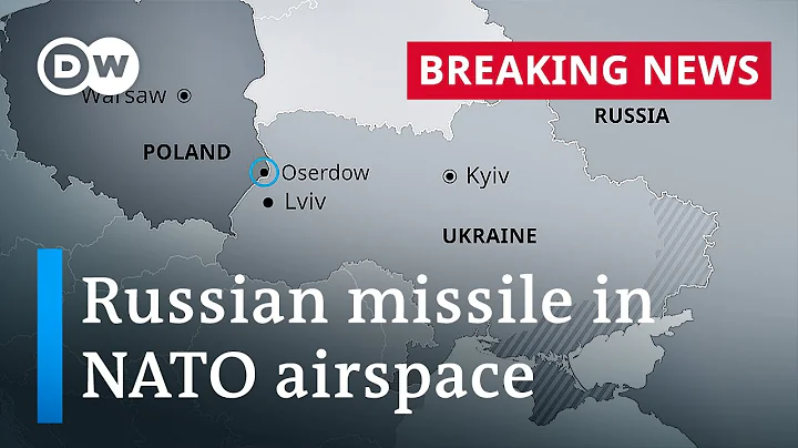 NATO member Poland says Russian missile violated its airspace | DW News - DayDayNews