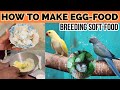 How to make egg food for your parrots best softfood for breedingtips  info by rda 2023