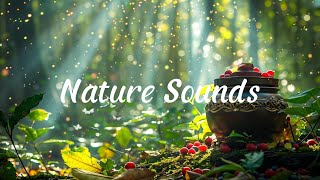 Relaxing Music and Nature Sounds 💖 Calm Piano, Study Music, Soothing Music, Meditation Music.