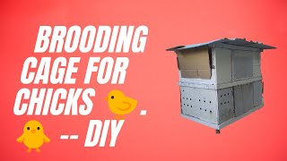 Brooding cage for 30 chicks | modified old cage | DIY #chicks #brooding #natibreed #nature