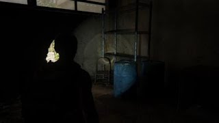 Celebrity The Last of Us Part II "THE BIG WIN" safe combination! *NEW GUN* Wealth