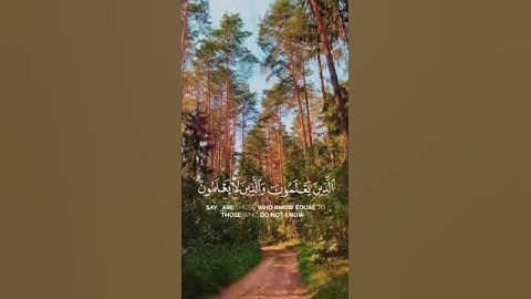 ( أَمَّنْ هُوَ قَانِتٌ ............) . ( سورة الزمر الآية ) .( 9 ) ( القارئ : ( ناصر  القطامي . ) .