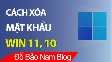 Cách xóa mật khẩu máy tính Win 11, gỡ bỏ pass máy tính Win 11 & Win 10
