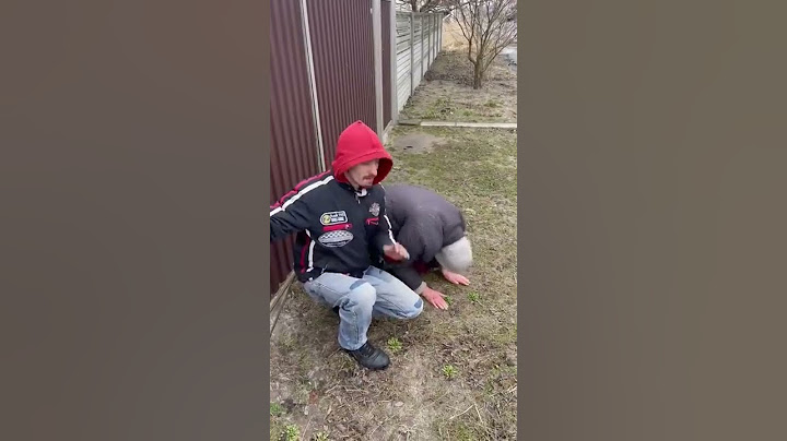 ВСУ зачищают Киевщину! Мирные радуются вызволителям! Война в Украине