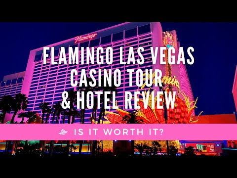 Wideo: Flamingo Las Vegas Hotel i kasyno tuż przy Strip