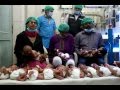 14 icsi babies born on same day  drvmthomas chennai fertility center india