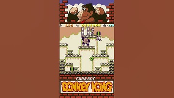 Game Boy Donkey Kong Level A Day: Level 2-12