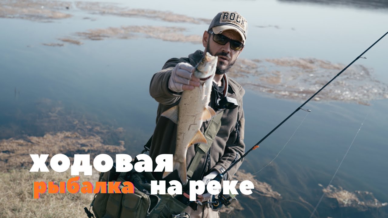 Сырдарья. Жерех пошёл, а машина — нет | Утренняя рыбалка и пески