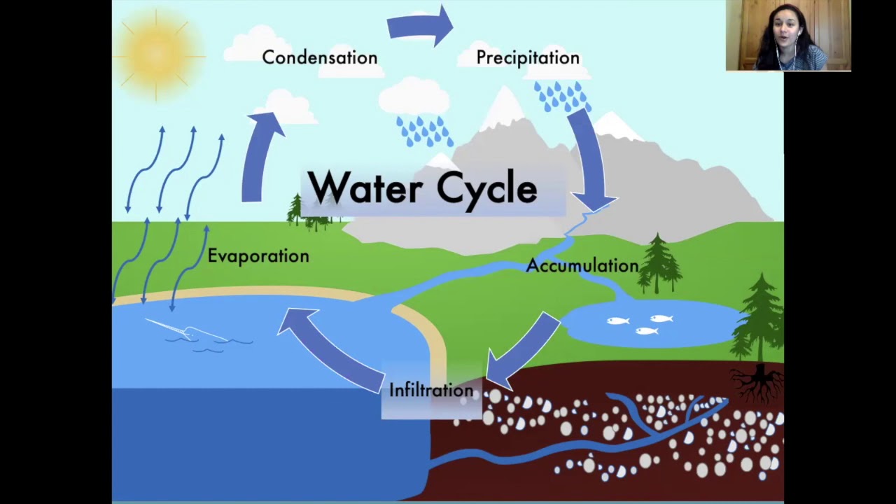 Accumulation Water Cycle