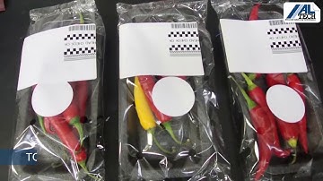 Top and Bottom Labeling Machine for Food Trays - ALTECH