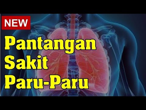 Video: Apakah basah mendukung larangan?