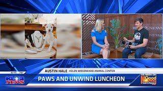 Shop, sip & support orphan pets at Center's 'Paws and Unwind' luncheon🐶 by Helen Woodward Animal Center 52 views 6 months ago 1 minute, 30 seconds