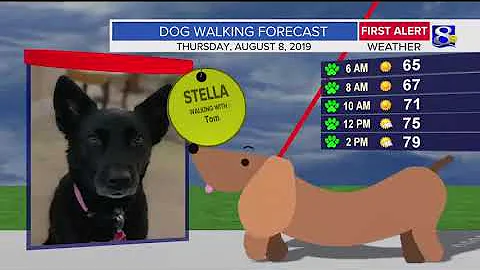 Your Thursday Morning Weather Update