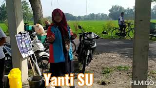 Gerdal Hama & Penyakit Padi