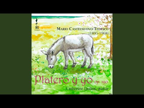 Platero y yo, Op. 190 (Version for Solo Guitar): No. 13, La tísica