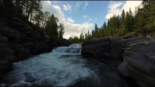 Magical River FPV Flight Between the Trees | Fatmomakke, Sweden