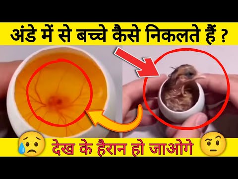 वीडियो: गूगल मैप्स पर उभरा हुआ अक्षर