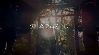 ZANZIBAR - Yoga Promo Video - Sharazad Oasis - 2020