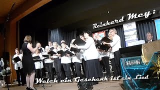 Reinhard Mey: Welch ein Geschenk ist ein Lied