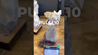 #fossil #paleontology #dinosaur