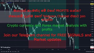 Crypto currency and Forex Market Analysis | Smart Money Concepts Sinhala | Profits? forex profits