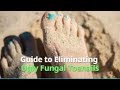 Guide To Eliminating Ugly, Fungal Toenails