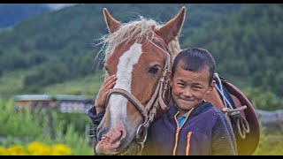 Humans Of Bhutan The Little Horse Handler Of Phobjikha