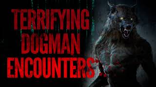 THESE THINGS ARE VIOLENT - 12 SCARY DOGMAN ENCOUNTERS