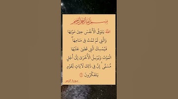 #القرآن الكريم #سورة الزمر