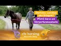 Überholen, losreißen oder drängeln beim Führen eines Pferdes hört sofort auf mit Körperbewusstsein!
