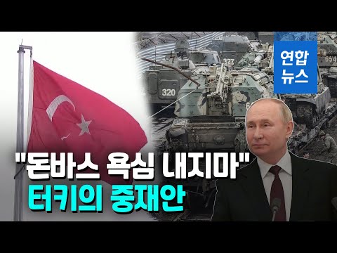 중재자로 나선 터키, &#39;돈바스 독립&#39; 러시아 요구에 &quot;비현실적&quot;/ 연합뉴스 (Yonhapnews)