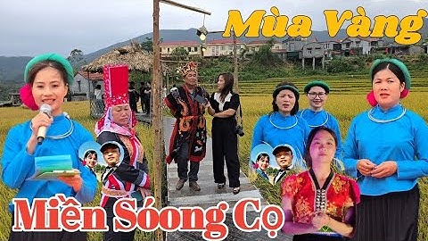 Mùa Vàng Miền Sóong Cọ Đại Dực 2024 | Xã Đại Dực, Tiên Yên, Quảng Ninh | THÁI VITV