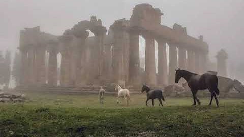 Adjust (BE) - Symmetric Response (SAMATA (Live) Remix)