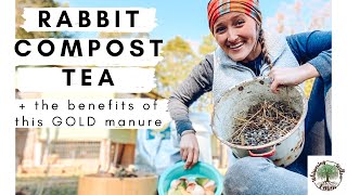 Making Rabbit Compost Tea (+ benefits of this GOLD manure) VLOG