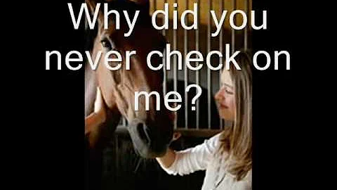 Horse Slaughter