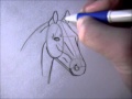 How to draw a simple horsehead