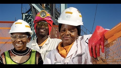 Chapter 20 Gender in the Mining Industry