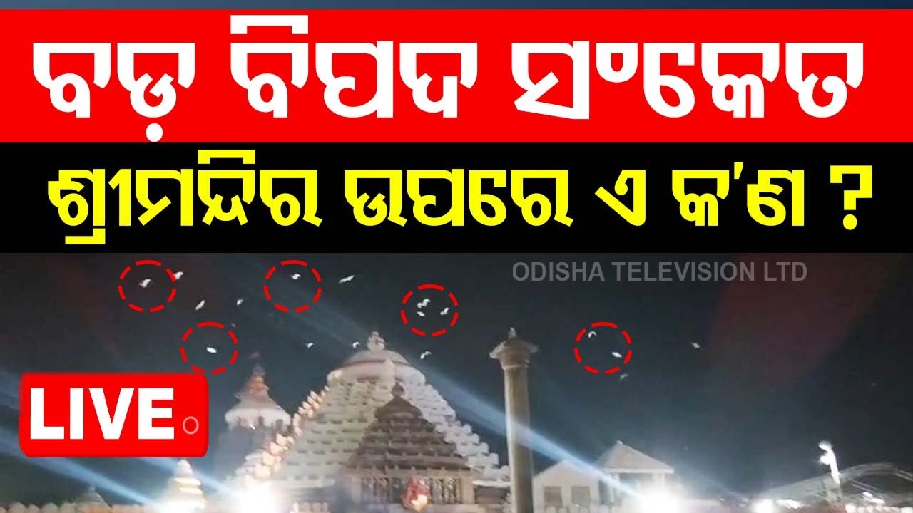 Live | ଶ୍ରୀମନ୍ଦିର ଉପରେ ଶହ ଶହ ପକ୍ଷୀ | Puri | Srimandir | Odisha
