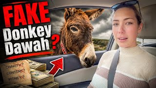 Lily Jay EXPOSED Faking Islamic Content! (Lily Jays Lies)