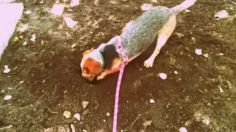 How to stay cool