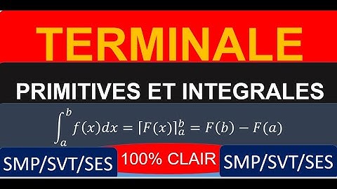 Primitives et intégrales simples : Approche générale - Cours 1