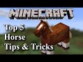 Minecraft |Top 5 | Horse Tips and Tricks