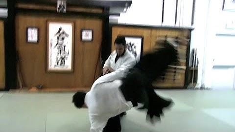 April 3, 2017 3rd Kyu Test by Isaac Molina