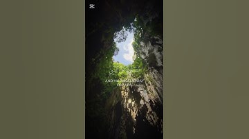 ان الله وملائكته يصلون على النبي  💚🪴 | تلاوة تريح القلب 🤍 | القارئ #ناصر_القطامي #راحة نفسية