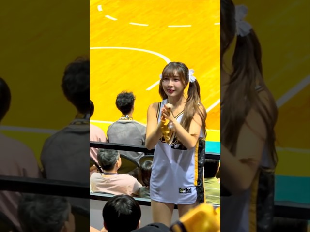 #林可 第二節場邊動態20260419 新北中信特攻啦啦隊 #Link Passion Sisters Cheerleader Fancam チア • 치어리더