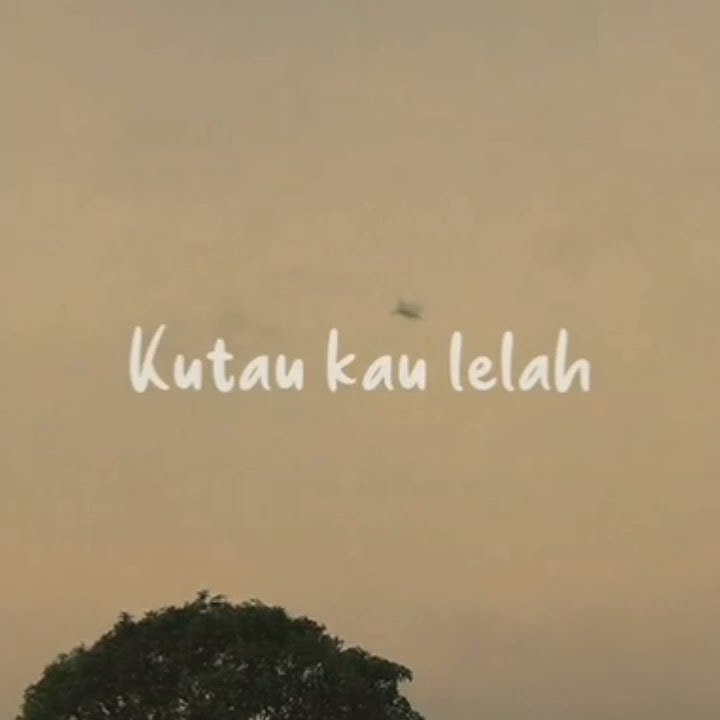 Story WA Keren || Wahai Bintang Jatuh