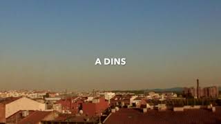 Video thumbnail of "A DINS (lyric video) - Anaïs Vila i Mazoni"