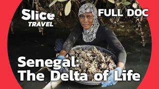 Senegal: For a Sustainable Mangrove | SLICE TRAVEL | FULL DOC
